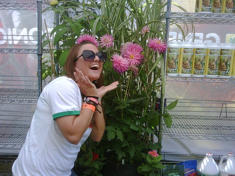 画像2: Rapid Start 