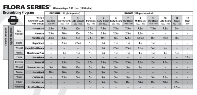 画像3: Rapid Start 
