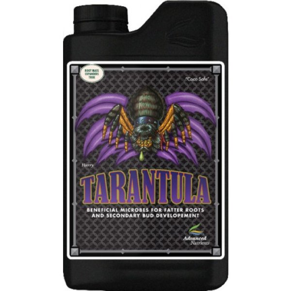 画像1: Tarantula (1)
