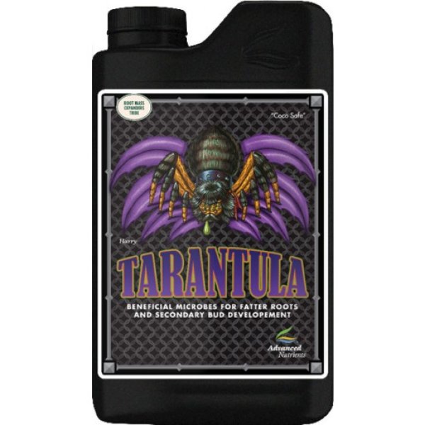 画像1: Tarantula 4L (1)