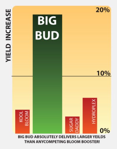 画像1: Big Bud 10L