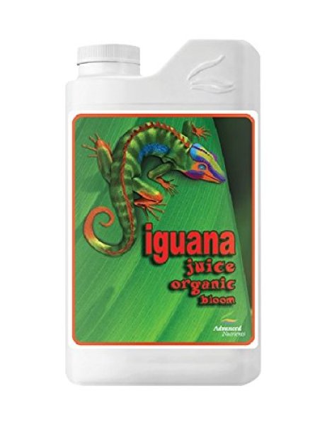 画像1: Iguana Juice Organic Bloom (1)