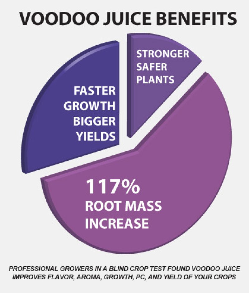 画像1: Voodoo Juice