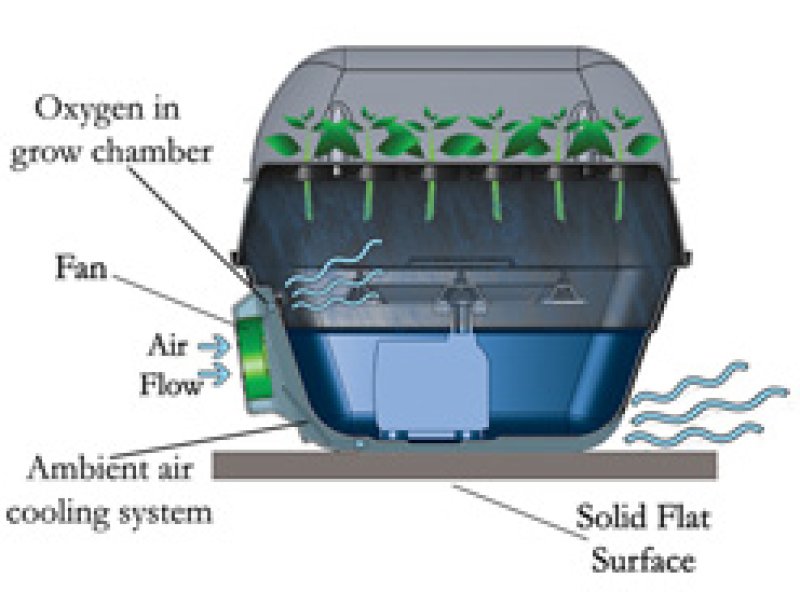 画像1: Turbo Klone T24 専用ポンプ