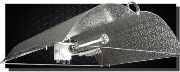 画像1: FLASH MirrorWing HAMMER Lサイズ (1)