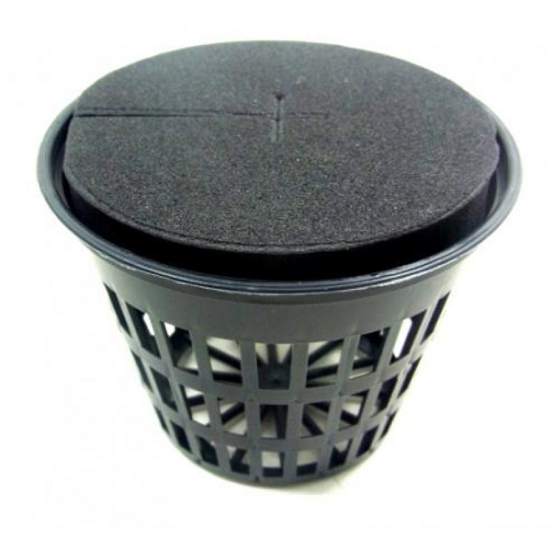 画像1: カラー ３インチ (５ヶ入)