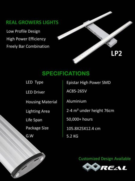 画像3: Spider LED LP2 (3)