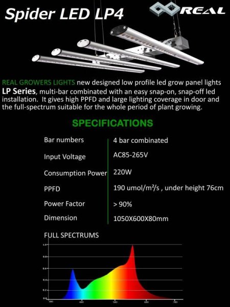 画像2: Spider LED LP4 (2)