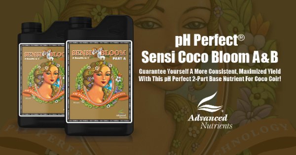 画像1: pH Perfect Sensi Coco Bloom Part A＆B 4L (1)