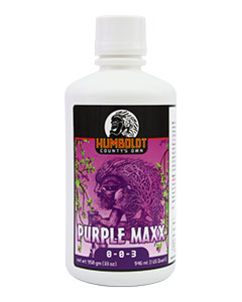 画像1: Purple Maxx (1)
