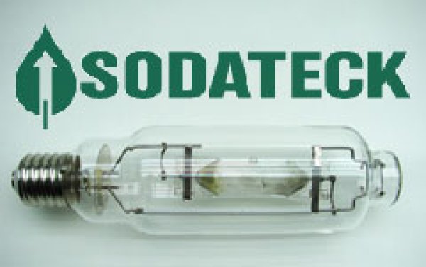画像1: SodaTeck MH600w (1)
