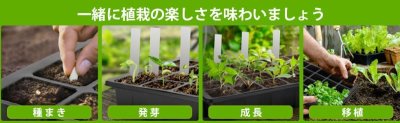 画像3: 発芽&挿し木キットドーム(ドームトレイ+ヒートマット付)