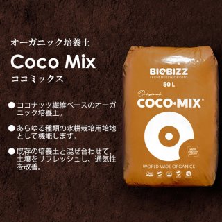 Coco ページ On Cloudtilt 1 W Ivory | Orchid（オン クラウドティルト 1
