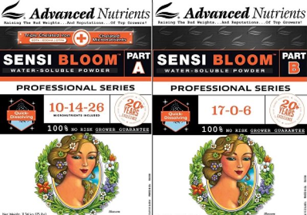 画像1: Sensi Bloom Professional Series - Part A＆B  1kg (1)