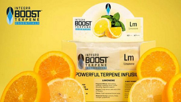 画像1: Integra Boost Terpene Essentials 62％ テルペン入り調湿剤 67g (1)