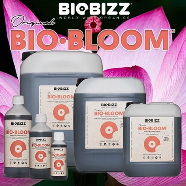 画像1: Bio Bloom (1)