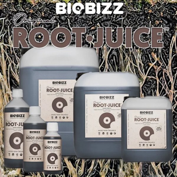 画像1: Root JUICE (1)