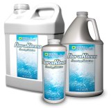 Flora Kleen - 室内園芸 Flora Farm 03-6416-5200