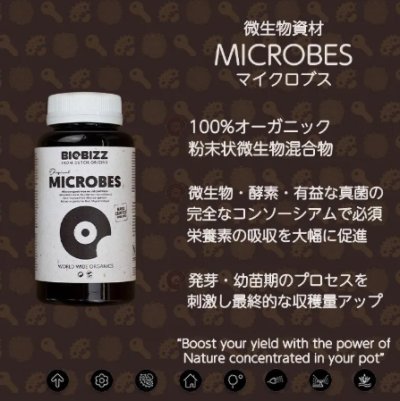 画像3: Microbes