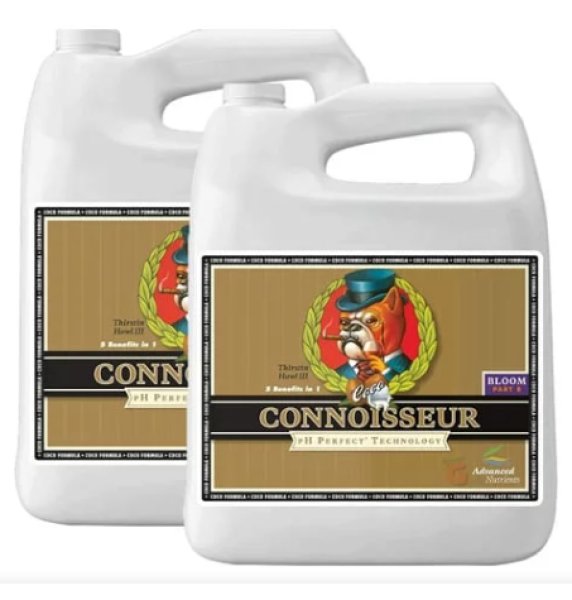 画像1: Connoisseur Coco A+B Bloom (1)