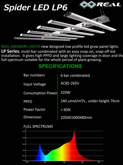 画像2: Spider LED LP6