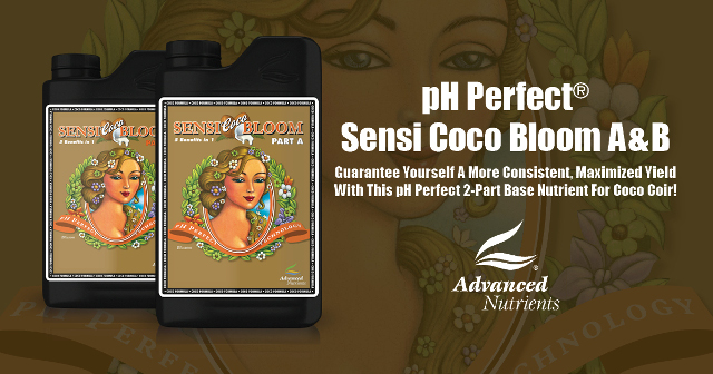 pH Perfect Sensi Coco Bloom Part A＆B 1L